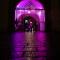 Juliusspital leuchtete am Welt-Pankreaskrebs-Tag lila